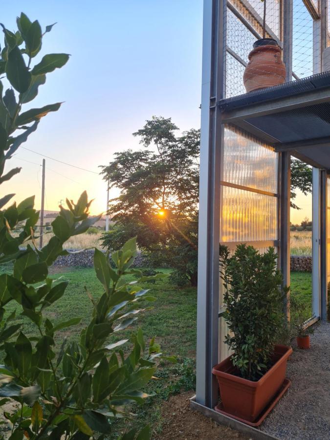 Anonima Agricola Villa Orbetello Exterior photo