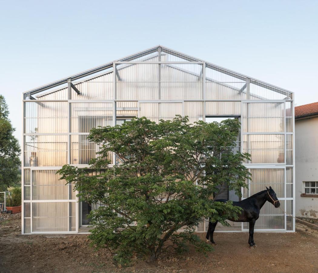 Anonima Agricola Villa Orbetello Exterior photo